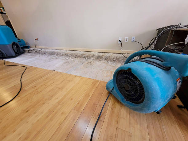 Professional Basement Flood Cleanup technician working in Valleyford, WA